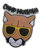 Cool Kitty Shoe Charm