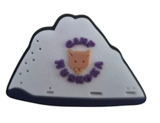 Iceburg Shoe Charm